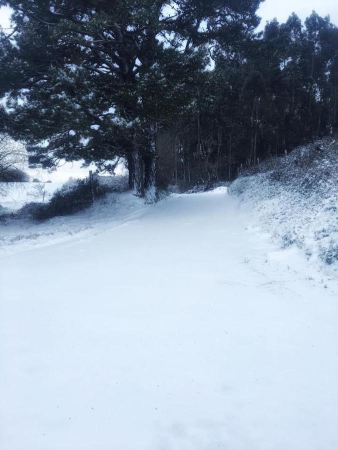 Posada El Nozal Sena Bagian luar foto