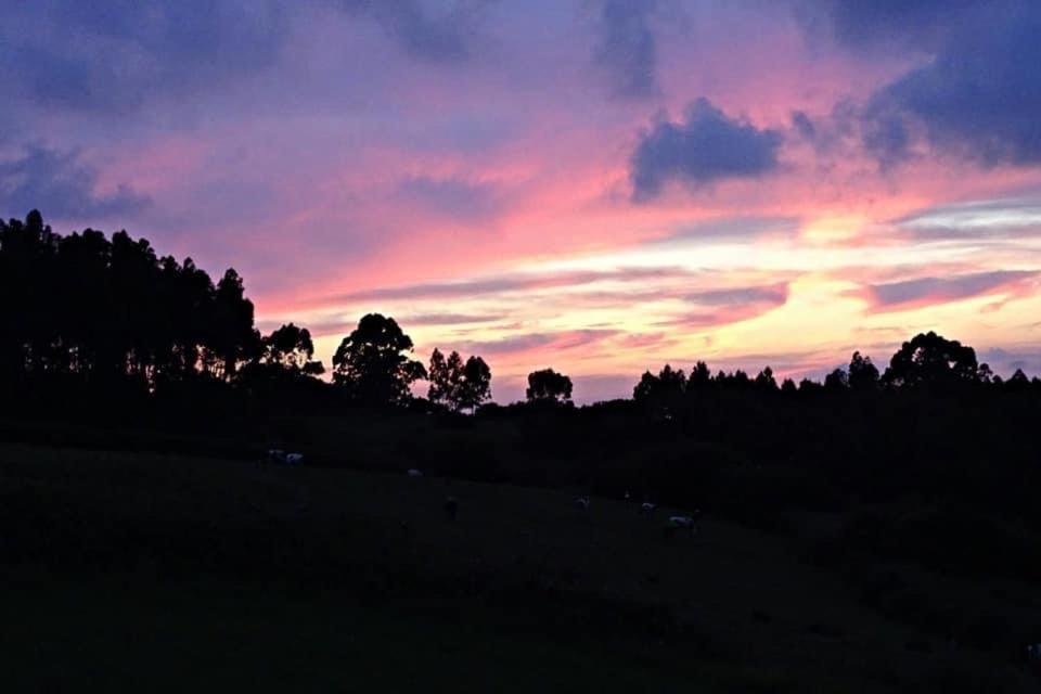 Posada El Nozal Sena Bagian luar foto